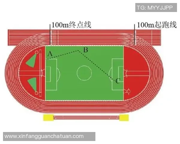 足球明星与田径明星的职业特点与成就差异分析